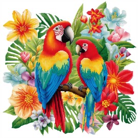 cukol cukol Parrot 11ct Cross Stitch, 11 Count Counted Stamped Pre Printed Cross Stitch Embroidery Kits for Adults Beginners Starter Advanced Easy Crossstitch Patterns Set Wall Decor 36x36 cm
