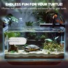 JJMOLLE Turtle Toys for Aquatic Turtle Tank Accessories, Turtle Brush