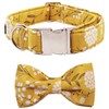 Lionet Paws Dog Collar with Bowtie, Durable Adjustable and Comfortable