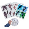 Purple Martin Conservation Laminated Photos & Prognosticator