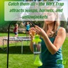 RESCUE! WHY Trap for Wasps, Hornets, & Yellowjackets – Hanging