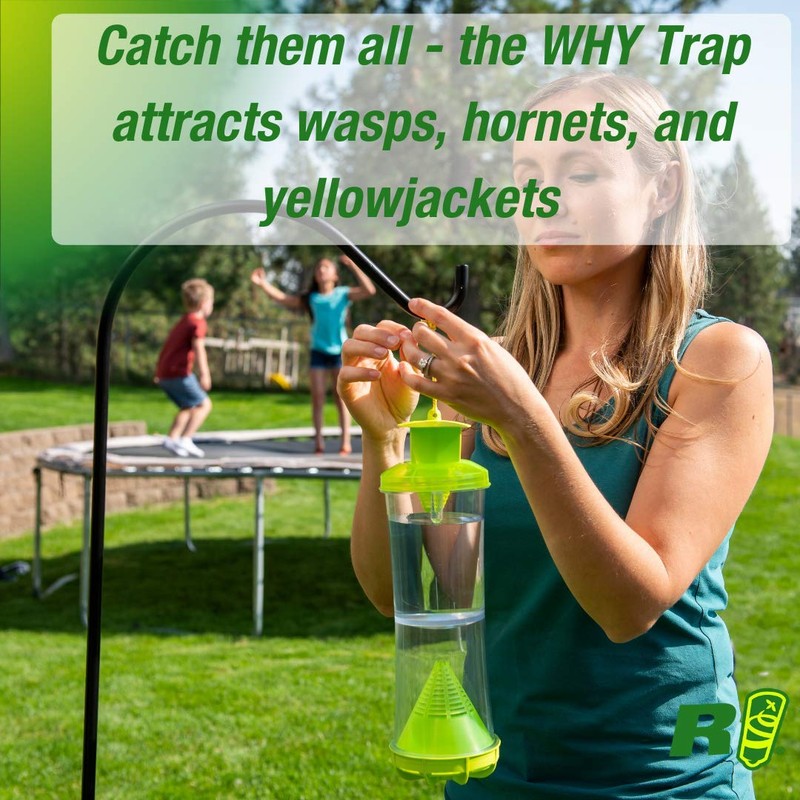 RESCUE! WHY Trap for Wasps, Hornets, & Yellowjackets – Hanging