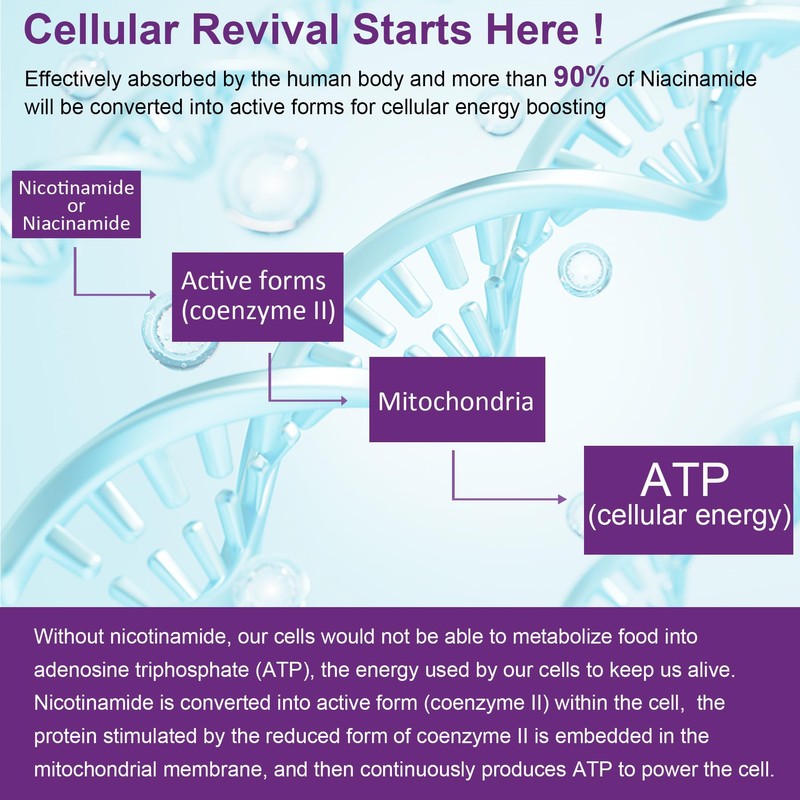 NEVISS NEVISS Nicotinamide 500mg Gummies + Marine Algae Calcium Gummies