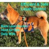 EarthPETS Classic Pet Harness No Pull with 2 Leash Clips,