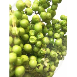 Daichi Farm DO003380-710 Preserved Flowers, Pepperberry, Preserved, Light Green, Approx. 9.8 - 11.8 inches (25 - 30 cm), 1.9 oz (55 g)