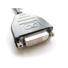 DisplayPort to single Link