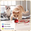 LuGirlre Interactive Cat Rolling Ball Dog Ball,Self Rolling cat Ball