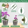 Tetutor 12 Pack Plastic Orchid Pots with Holes, 4, 5,
