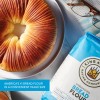 King 4 Pack - King Arthur Bread Flour, 10 lbs.