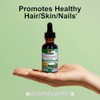 Nature's Answer | Horsetail Extract, 2 000 Mg, 1 Oz