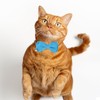2 Pcs Boy Cat Collar with Bell Breakaway Cat Collars