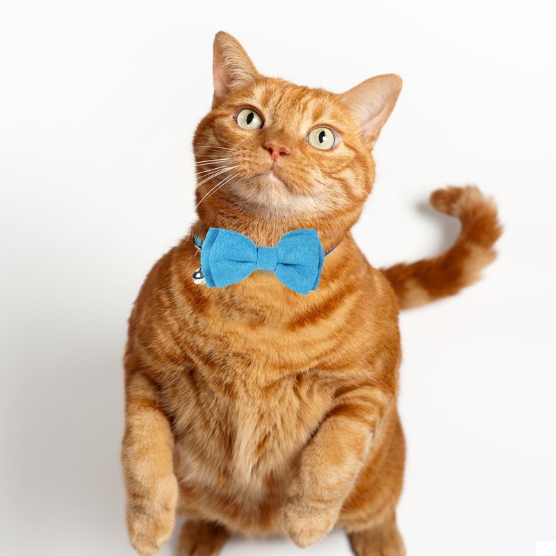 2 Pcs Boy Cat Collar with Bell Breakaway Cat Collars