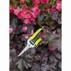 Burgon & Ball Flower and Fruit Snip, Fluorescent Yellow