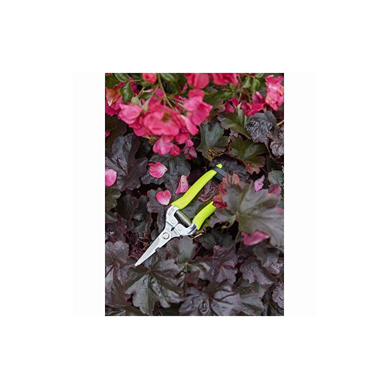 Burgon & Ball Flower and Fruit Snip, Fluorescent Yellow