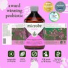 MICROBZ Revive Liquid Probiotic – Multi-Strain Live Cultures for Gut