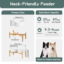 Havniva Ceramic Raised Double Bowls Set with Stand, Food & Water Bowls for Medium Breed Dogs, Weighted Dog Dishes, Pet Bowl(7.3'',41OZ, White)