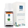 GM Gumili Peppermint Essential Oil - 100% Pure Aromatherapy Oil