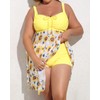 Daci Plus Size Two Piece Swim Dress with Boyshorts for
