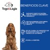 Premios para Perro de Corazón de Res Deshidratado 120 Gramos