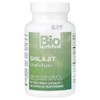 Bio Nutrition Shilajit (Asphaltum), 60 Vegetarian Capsules