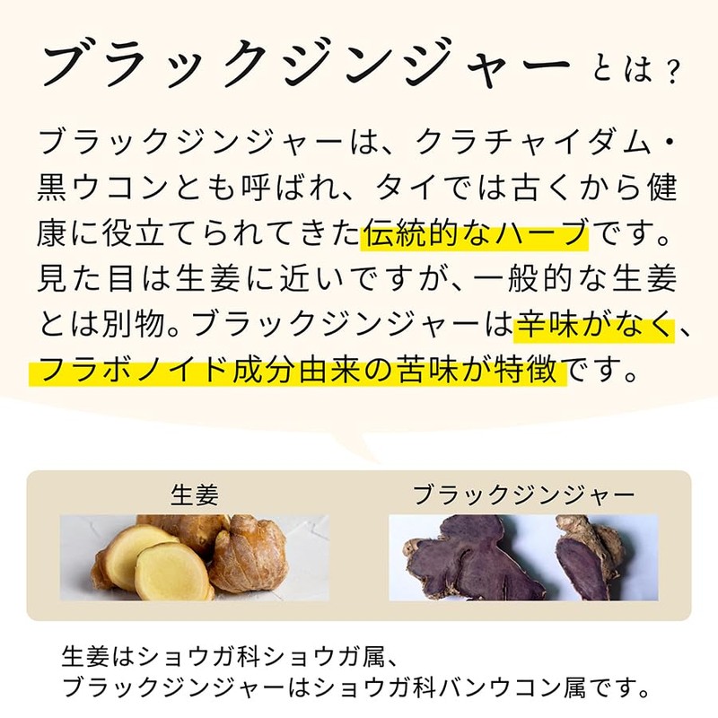nichie ブラックジンジャー パウダー タイ産 黒しょうが 50g