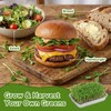 2 Pcs Stainless Steel Seed Sprouting Trays with Towel &