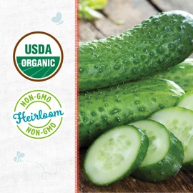 Back to The Roots 100% Organic Seed Packet - Cucumber 'Pickling Sumter' 1.5g