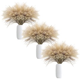 Uieke 300Pcs Natural Dried Pampas Grass Plume 17inch Tall Dried Flowers Bulk Reed Dried Plants for Wedding Flower Arrangements Farmhouse Wreath Door Centerpiece Home Décor Brown