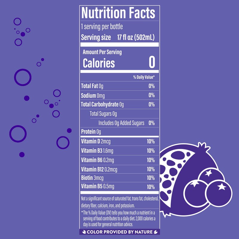 Vita Ice Acai Blueberry Pomegranate, 12 Pack, 17 oz. Bottles