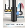 FORIOUS Black Kitchen Faucet with Purfied Water Filter, 2 in