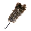 Ostrich, Full Length 39.4 inches (100 cm), GLD100, For Cars,