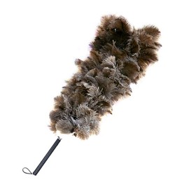 Ostrich, Full Length 39.4 inches (100 cm), GLD100, For Cars, For Small and Medium Cars, Luxury Ostrich, Gray