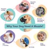 FDEETY Muzzle for Dogs, Soft Mesh Muzzle for Small, Medium