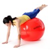 Original Pezzi Ball Standard 75 cm Red with Ball Bowl
