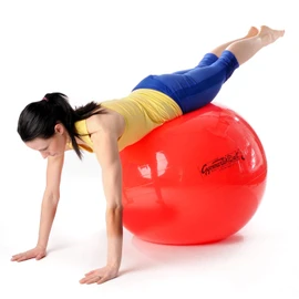 Original Pezzi Ball Standard 75 cm Red with Ball Bowl and Pump Combi Gymnastics Ball