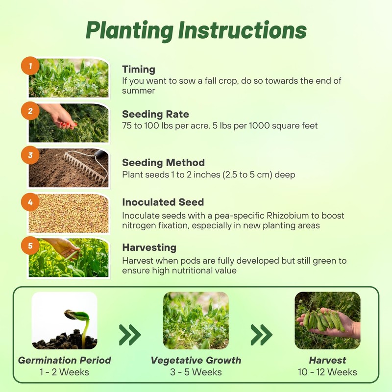 Outsidepride Dundale Spring Field Peas Seeds - 5 lbs. Annual,