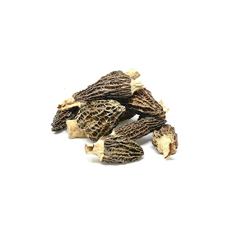 Jumbo Dried Morel Morchella Mushroom Crop Top Grade Premium Quality