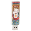 USB Flash Drive Cute Cat Pattern Hot Swap Plug and