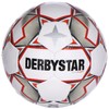 DERBYSTAR Unisex Youth Apus S-Light Training Ball, White, 5
