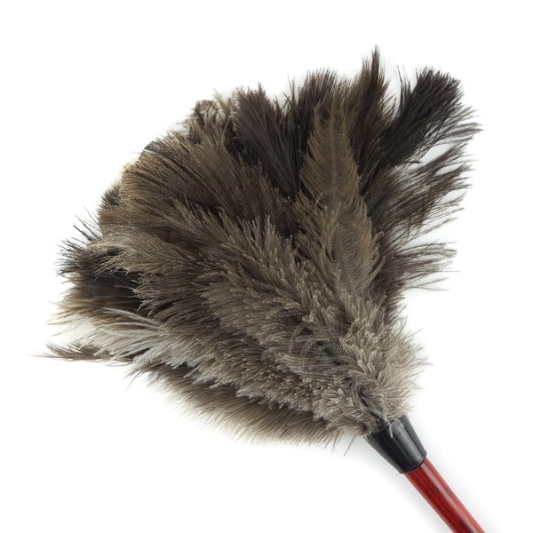 ZUCKER Feather Duster-Wooden Handle - 24" - Natural