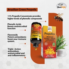 Beelife Brazilian Green Propolis Extract |11% Dry Extract,Bee Propolis Tincture, High Artepillin-C Levels – Natural & Kosher, Antioxidant| Rich Supplement for Health, Wellness- Propolis Drops, 20ml