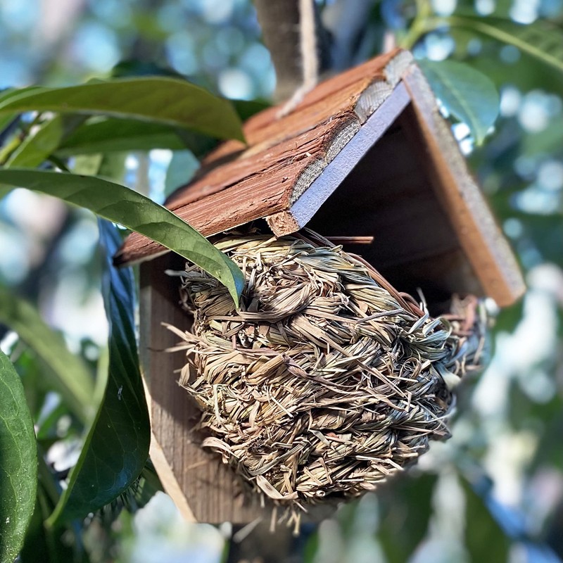 Woven House Martin Bird Nester with Roof