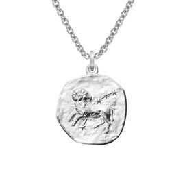 trendor Zodiac Sign Aries with Necklace 925 Silver Diameter 16 mm Zodiac Sign Pendant Sterling Silver for Women, Men or Children, 08441-04, Sterling Silver