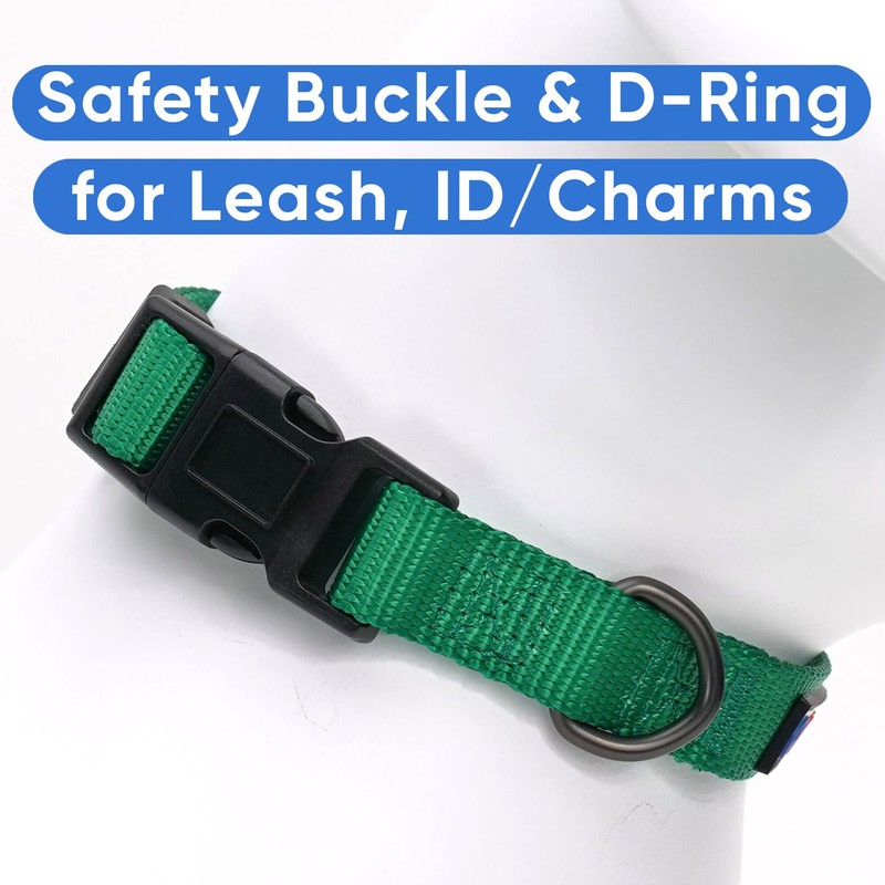 Pawtitas Dog Collar For Extra Small Dogs Training Puppy Collar