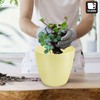 TULMERO Matte Flower Pot, Plastic Planter, Decorative Pot for Large