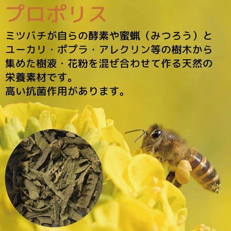 【訳あり】Souki Even More Throat Relief! Propolis Candy 14.1 oz (400