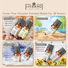 Livaano LIVAANO Essential Oils Set C 100% Pure Aromatherapy Oils for Diffusers for Home, Massage & Relaxation | Lavender, Tea Tree, Eucalyptus, & More | Gift Set for Women & Men
