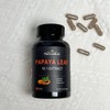 NATUREBULK NATUREBULK Papaya Leaf Extract Capsules - 10X Strength, 120