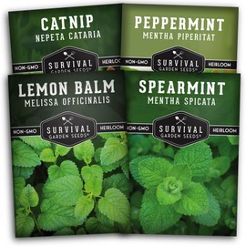 SURVIVAL GARDEN SEEDS Survival Garden Seeds Mint Collection Seed Vault - Peppermint, Spearmint, Lemon Balm and Catnip Seeds - Grow Herbal Tea & Culinary Herbs - Non-GMO Heirloom Herbs for Outdoor and Indoor Gardens