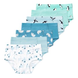 Lucky & Me Nolan Boys GOTS Organic Cotton Briefs (7-Pack) Arctic 9/10